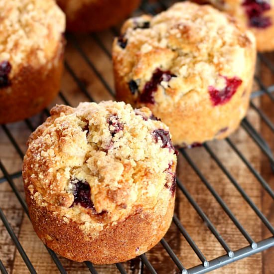 The Perfect Blueberry Muffin