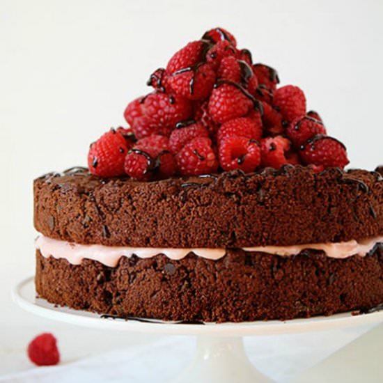 Skinny Chocolate Raspberry Cake