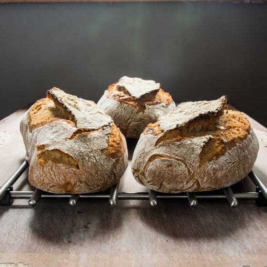 Rye bread