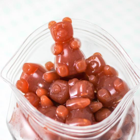 DIY Fruit Snacks