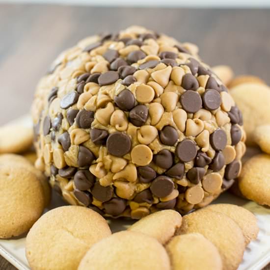 Peanut Butter Cheese Ball
