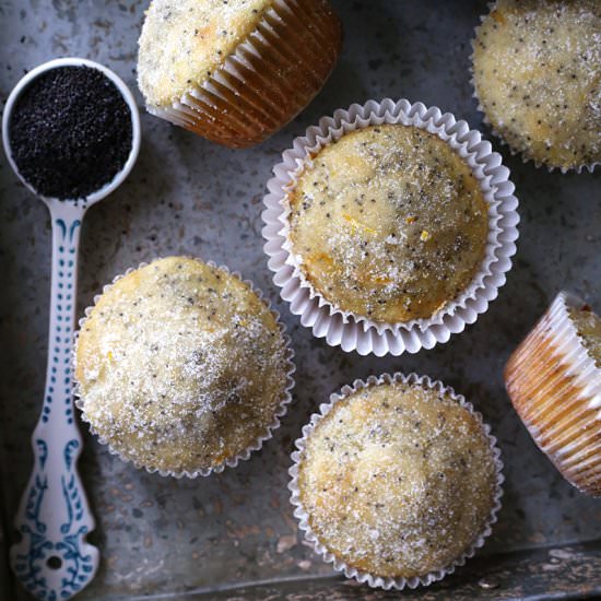 Meyer Lemon Poppy Seed Muffins