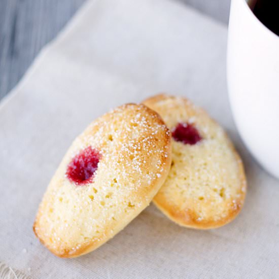 Meyer Lemon Madeleines