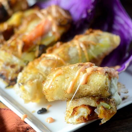 Buffalo Chicken Spring Rolls