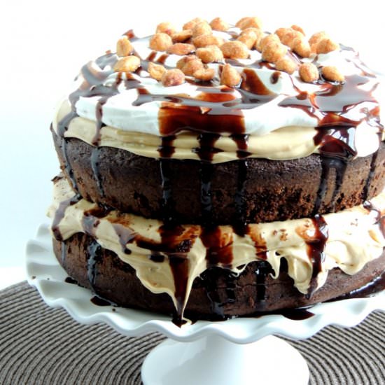 Chocolate Peanut Butter Cake