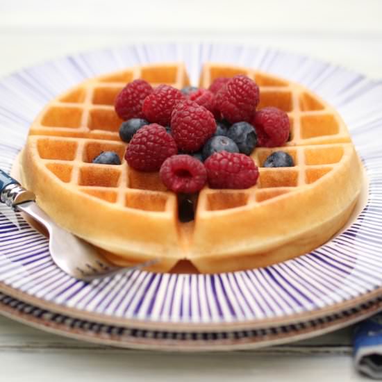 Best Gluten Free Waffles