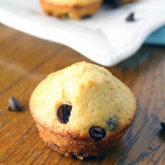 Chocolate Chip Muffins
