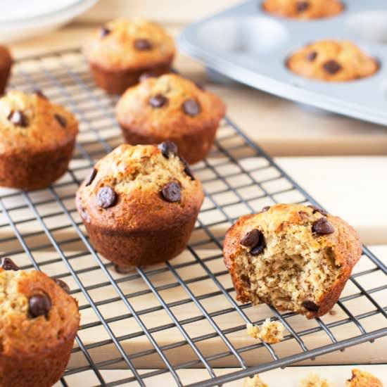 Banana Chocolate Chip Muffins