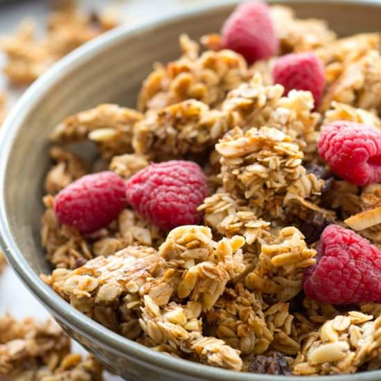 Large-Cluster Almond Granola