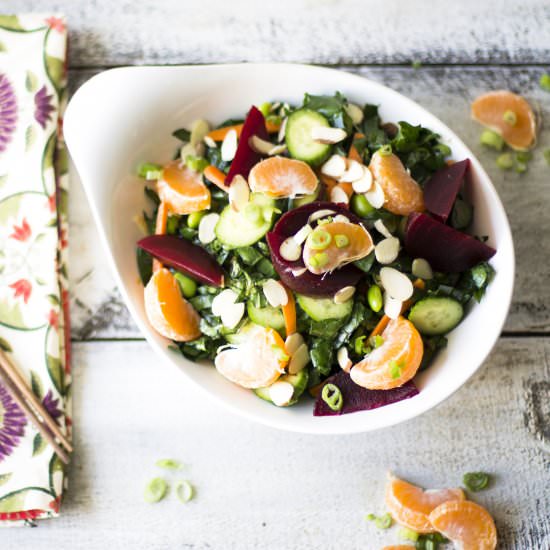 Winter Asian Kale Salad