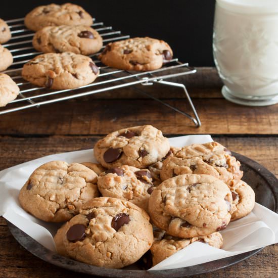 Peanut Butter Chocolate Chip Cookie