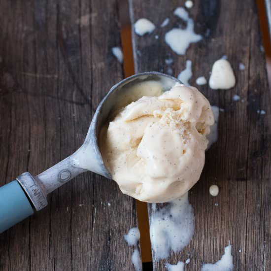 French Vanilla Bean Ice Cream