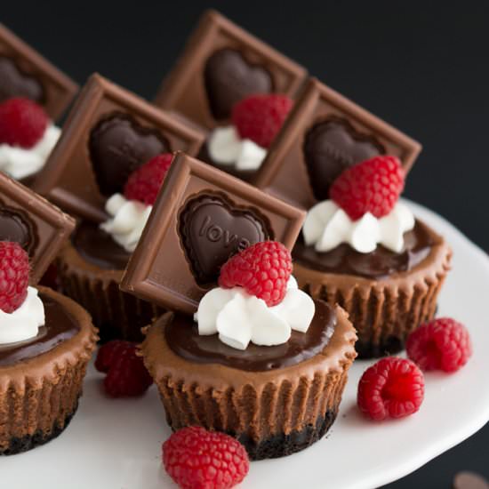 Mini Triple Chocolate Cheesecakes