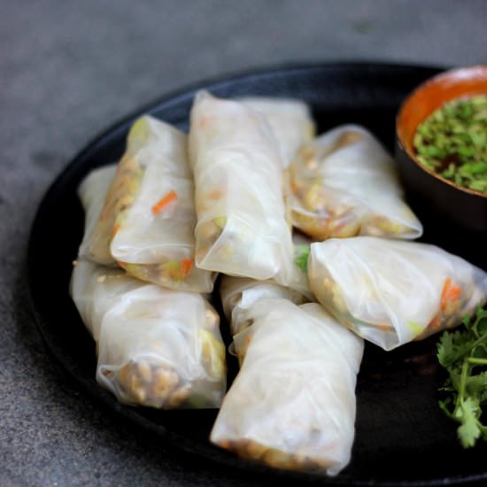 Chinese Chicken Spring Rolls