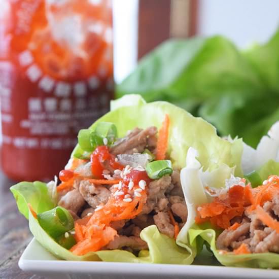 Asian Lettuce Wraps