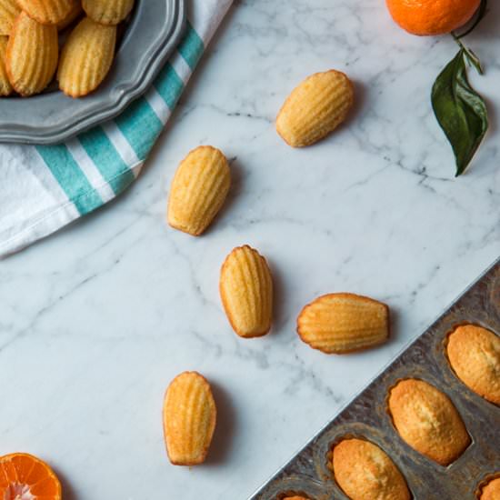 Orange and Vanilla Madeleines