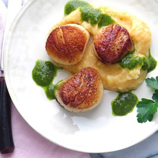 Pan seared scallops
