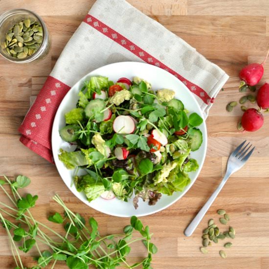 Everyday Green Salad