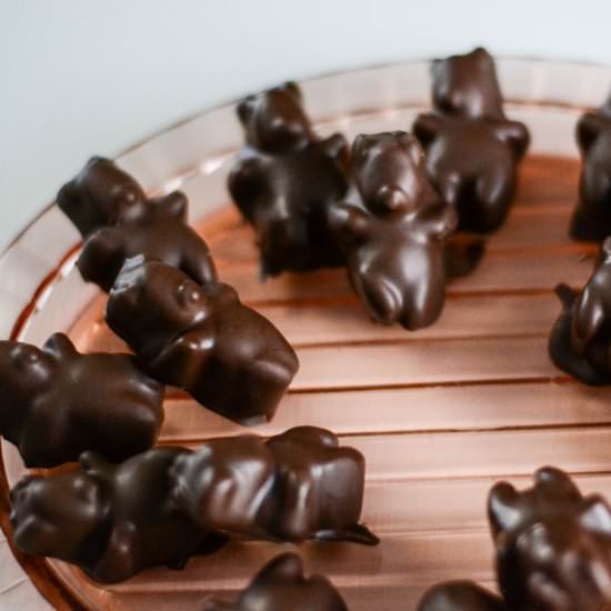 Chocolate Covered Bears