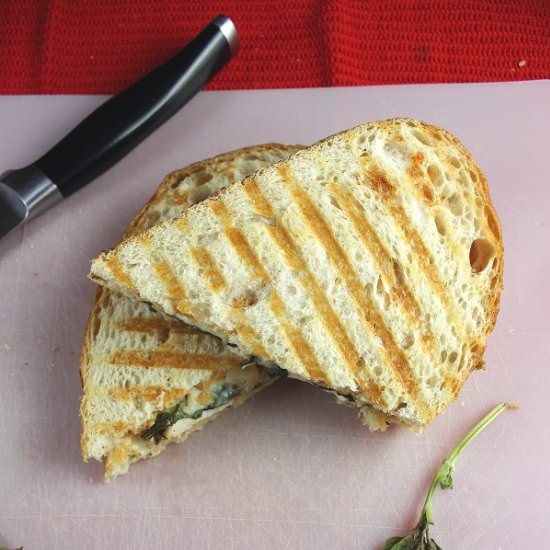 Chicken Mozzarella Basil Panini