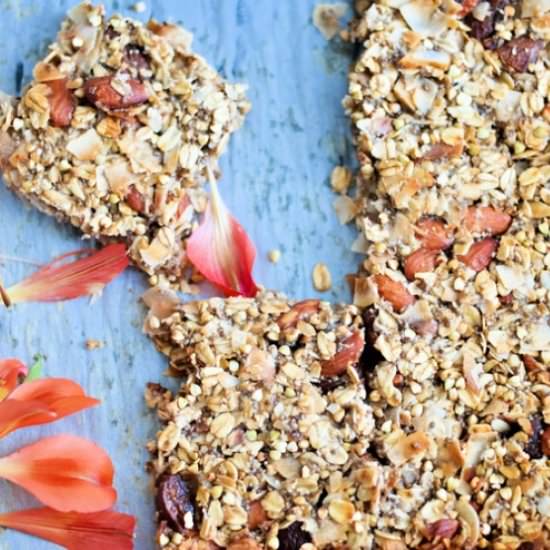 Apricot and Coconut Bars