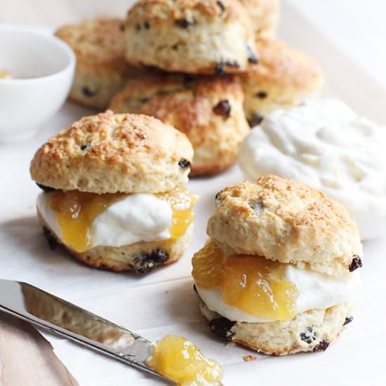 Ginger Currant Scones