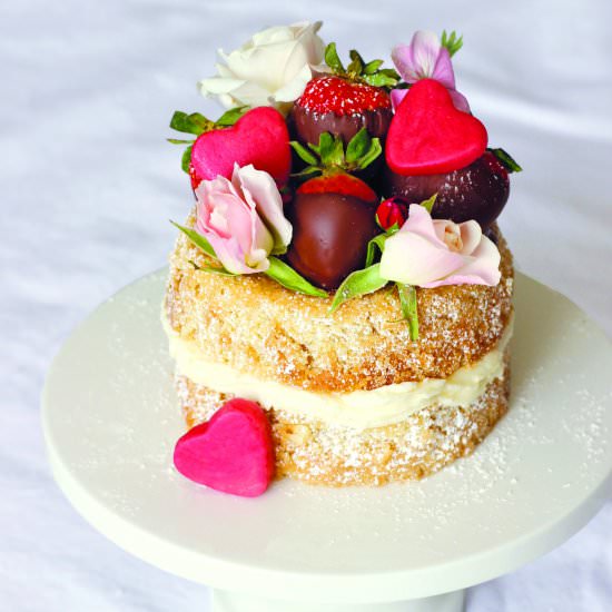 Vegan Valentine’s Day Cake
