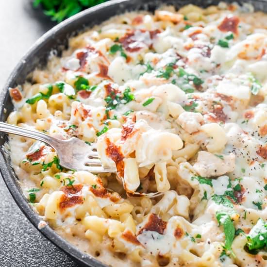 Chicken Alfredo Pasta Bake