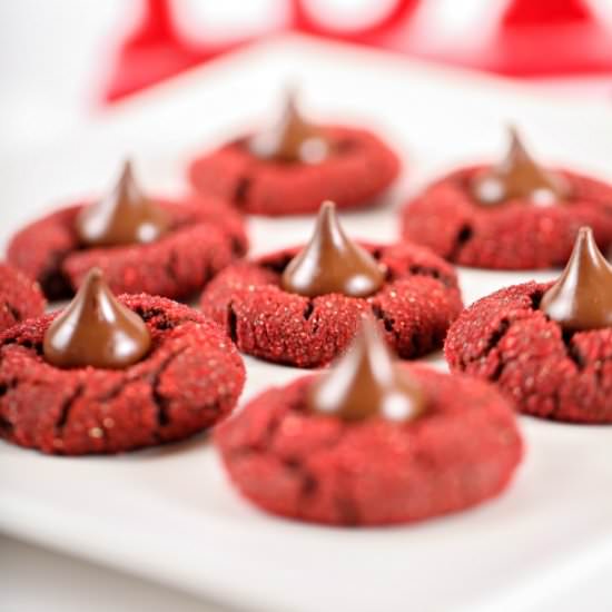 Red Velvet Blossoms
