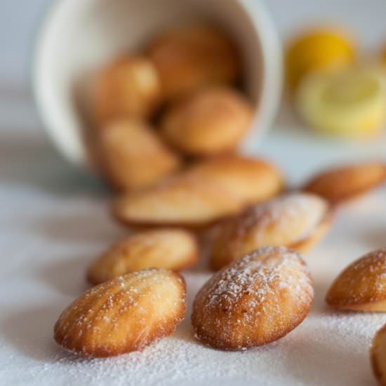 Lemon Madeleines