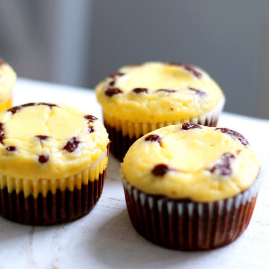 Mini Chocolate Cheesecake Cakes