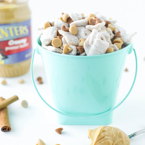 Peanut Butter Snickerdoodle Mix