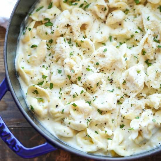 Easy Garlic Alfredo Tortellini