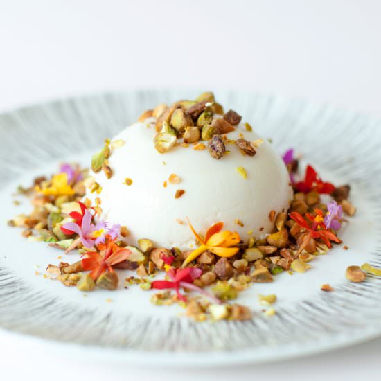 Pistachio Panna Cotta