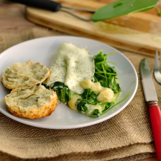 Havarti Pea Shoot White Omelette