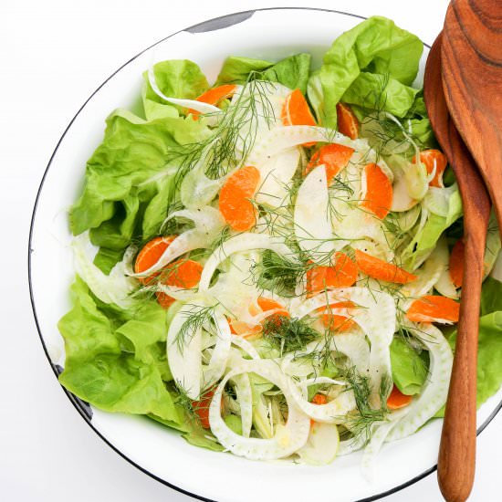 Crisp Fennel Apple Salad w/ Orange
