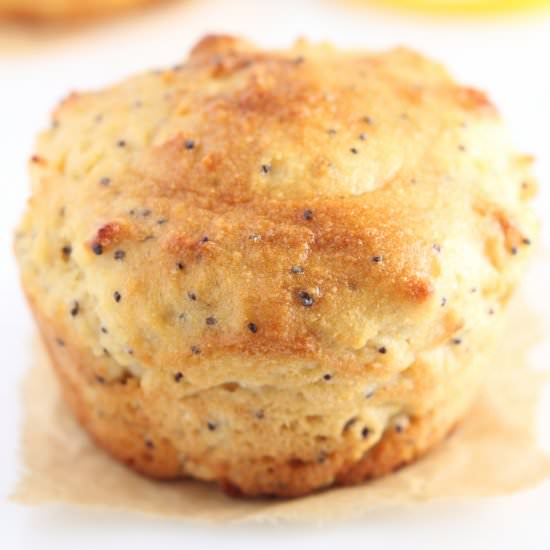 Lemon Poppy Seed Protein Muffins