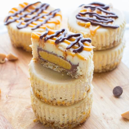 PB Cup Mini Cheesecakes