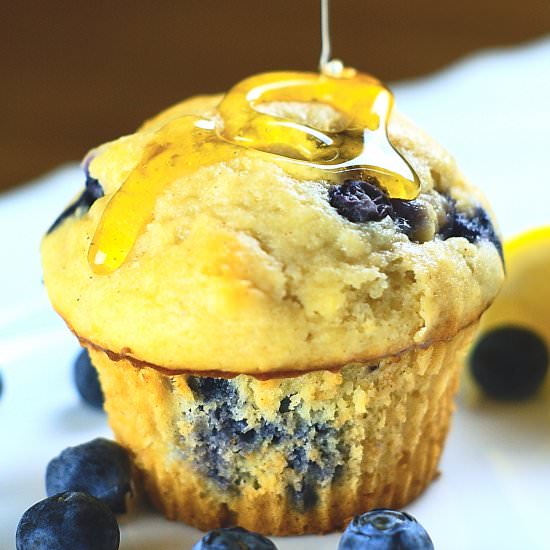 Greek Yogurt Blueberry Muffins