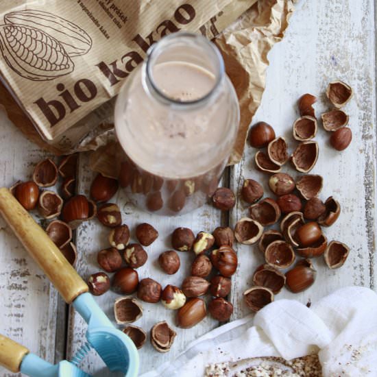 Hazelnut Chocolate Milk (Vegan)