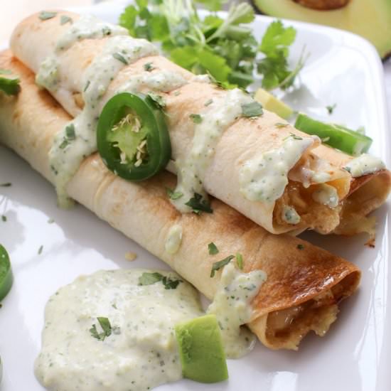 Chicken Jalapeno Popper Taquitos