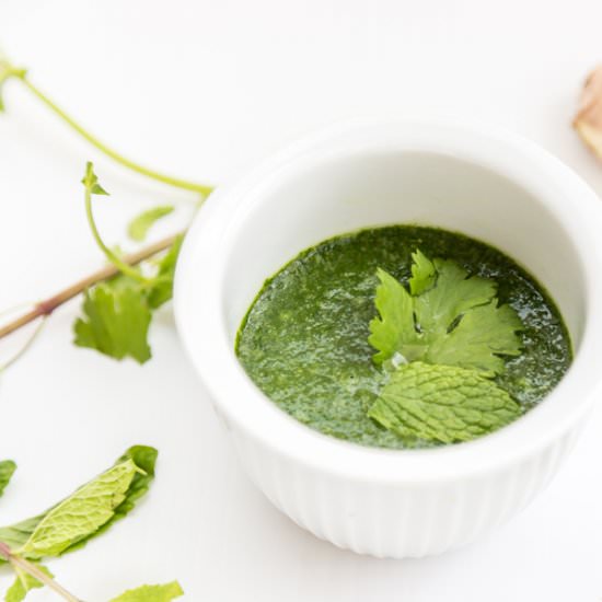 Cilantro Mint Chutney