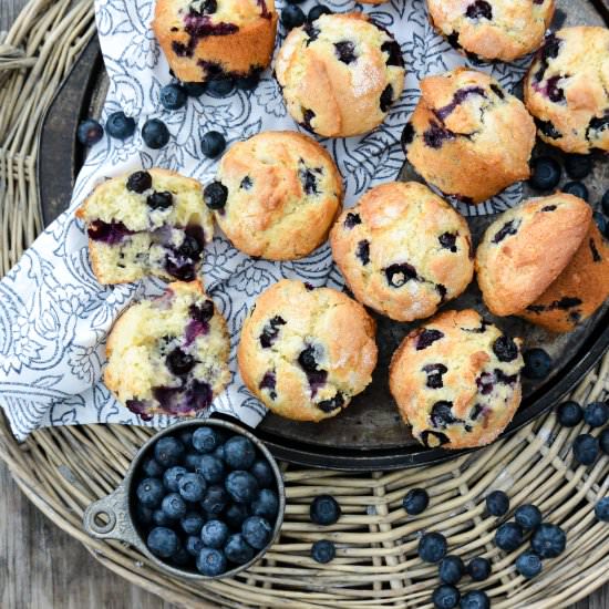 Blueberry Muffins
