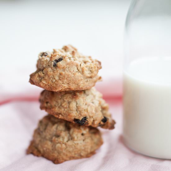 Vegan Breakfast Cookies