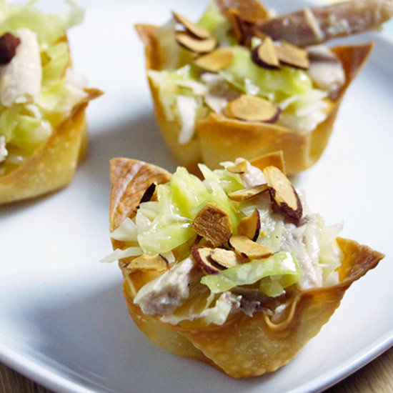 Asian Chicken Salad Cups