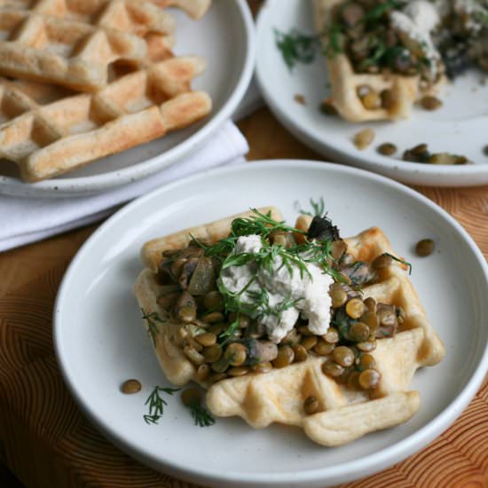 Savory Waffles with Lentils