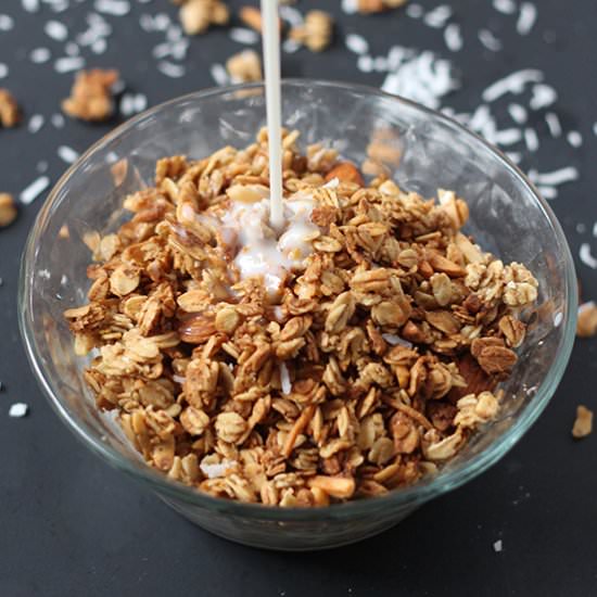 Dairy-Free Coconut Almond Granola