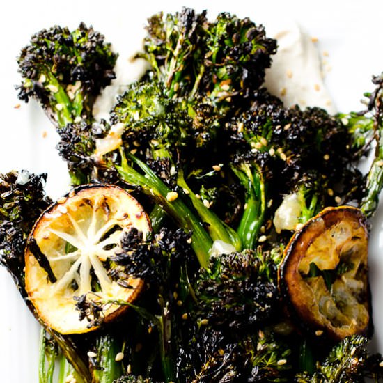 Roasted Broccolini w/ Tahini Yogurt