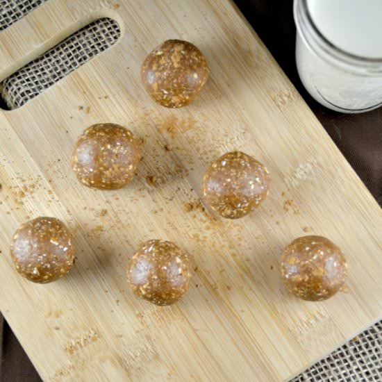 Chocolate Peanut Butter Protein Ball