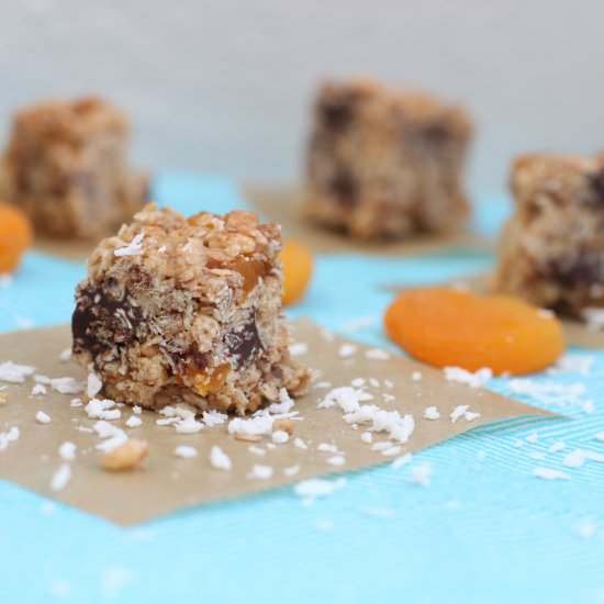 Apricot and Coconut Oat Cubes